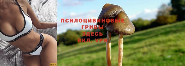 амф Пестово