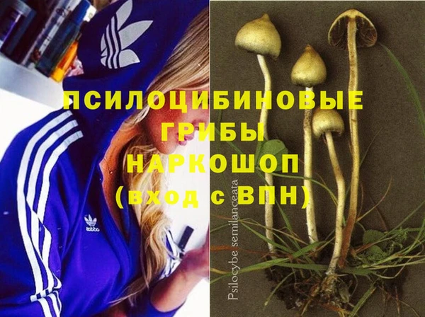 амф Пестово