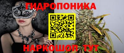 ешки Бийск