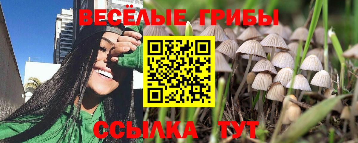 Псилоцибиновые грибы GOLDEN TEACHER Борисоглебск